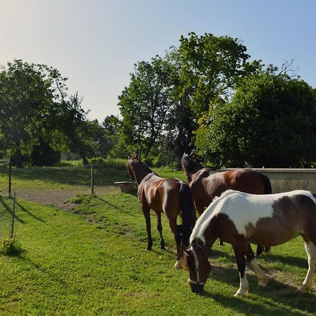 Farm Stay Zevnik Brežice Εξωτερικό φωτογραφία