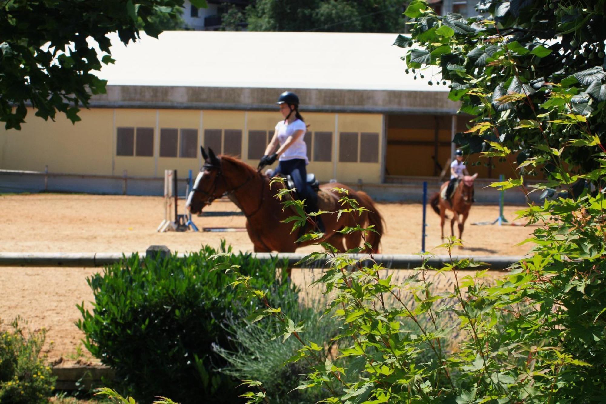 Farm Stay Zevnik Brežice Εξωτερικό φωτογραφία
