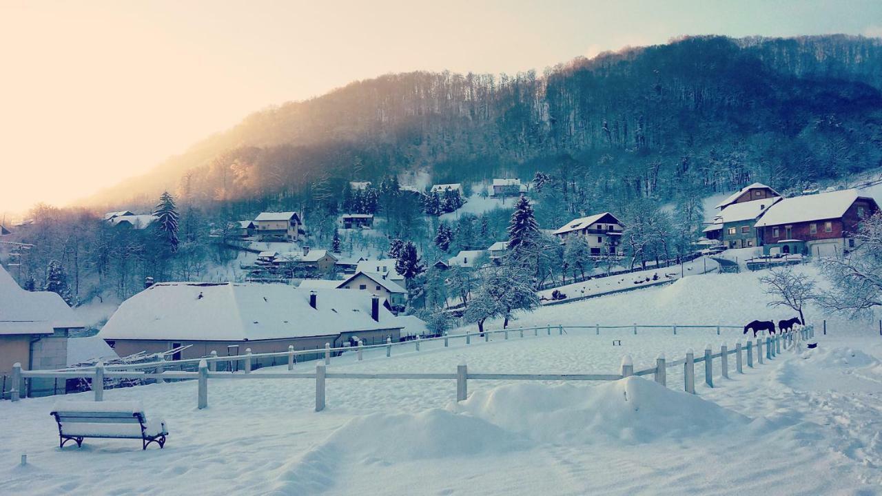 Farm Stay Zevnik Brežice Εξωτερικό φωτογραφία
